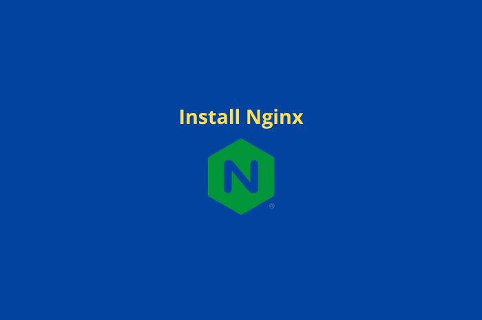 Cara Install Nginx Ubuntu 20.04 dengan 6 Langkah Mudah
