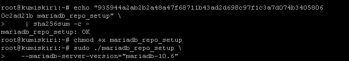 Upgrade mariadb ubuntu mariadb Repo setup